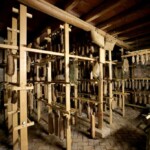 Sutrio_Fums, profums, salums salumi