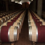 Chiaretto di Bardolino, cantina Zeni_ph. Marco Giovenco