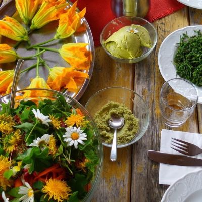 Kräuterwanderung_©Christiane Gruber