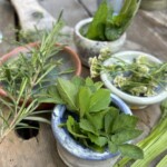 Kräuterwanderung_©Christiane Gruber