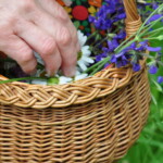 Kräuterwanderung_©Christiane Gruber