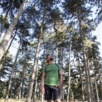 Waldbaden_©smgAlex Filz