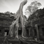 Kenro Izu_Angkor #26, Cambodia_1993