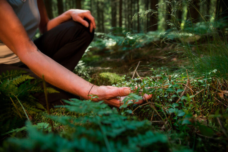 Nutriva Academy_congresso