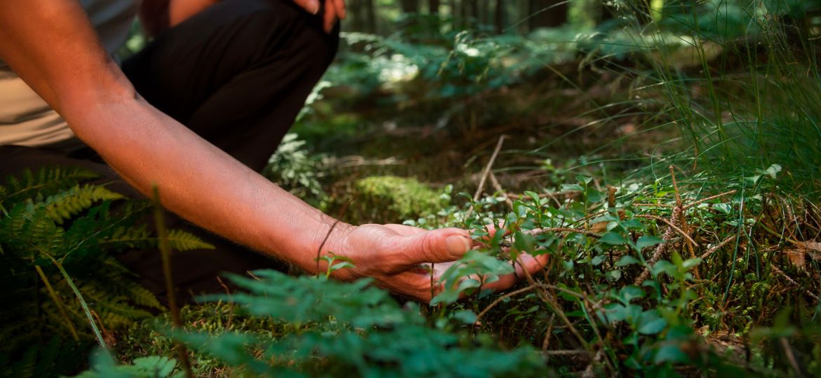 Nutriva Academy_congresso