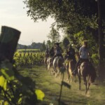 Consorzio Tutela Lugana Doc