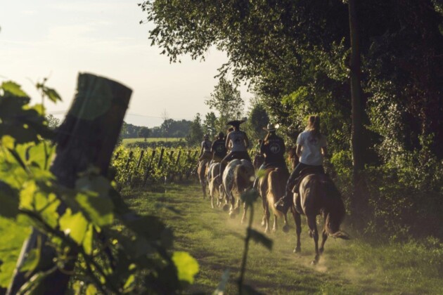 Consorzio Tutela Lugana Doc