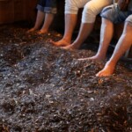 Brunico, Bergila_Oli essenziali. Ph. Marco Giovenco