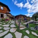 Brunico, Bergila_Oli essenziali. Ph. Marco Giovenco