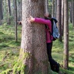 Brunico, Forest bathing nel bosco tra Falzes e Issengo- Ph. Marco Giovenco