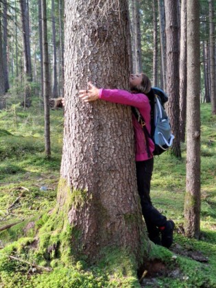 Brunico, Forest bathing nel bosco tra Falzes e Issengo- Ph. Marco Giovenco