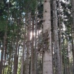 Brunico, Land Art tra Falzes e Issengo- Ph. Marco Giovenco