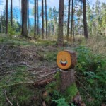 Brunico, Land Art tra Falzes e Issengo- Ph. Marco Giovenco