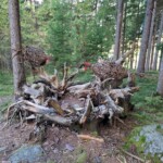 Brunico, Land Art tra Falzes e Issengo- Ph. Marco Giovenco