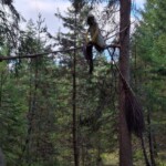 Brunico, Land Art tra Falzes e Issengo- Ph. Marco Giovenco