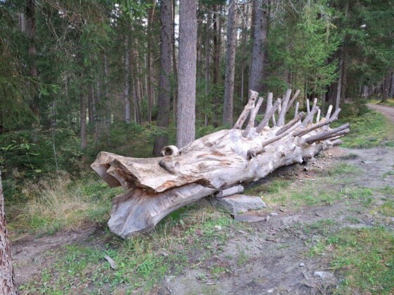 Brunico, Land Art tra Falzes e Issengo- Ph. Marco Giovenco