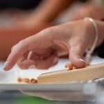 Serri PITZOTTIS SERREUS - Foto Lorenzo Naitza