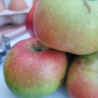 Sibillini in rosa, Tipicità