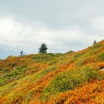 Bike park Plan de Corones, ph. Daniel Niederkofler