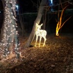Avvento in Carinzia, Mallnitz. La suggestiva via delle luci_ph. Marco Giovenco