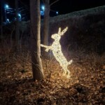 Avvento in Carinzia, Mallnitz. La suggestiva via delle luci_ph. Marco Giovenco