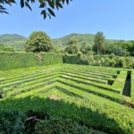 Villa Barbarigo Pizzoni Ardemani a Valsanzibio di Galzignano Terme. Ph. Marco Giovenco