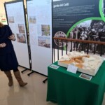 Colli Euganei_Ph. Marco Giovenco