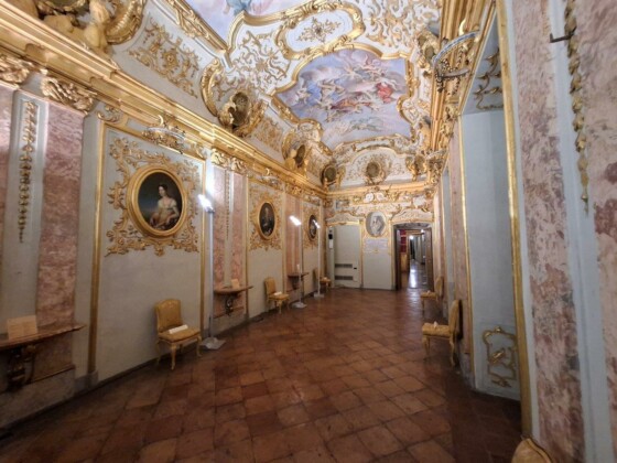 Asti, Palazzo Mazzetti. Ph. Marco Giovenco