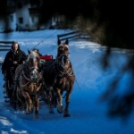 Giro in carrozza a Lutago @ Ferienregion Ahrntal Valle Aurina - Hansi Heckmair