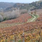 Monferrato, vitigni Vinchio Vaglio_ph. Marco Giovenco