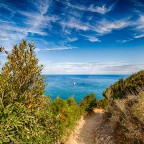 Fondazione, Via dell’Essenza,